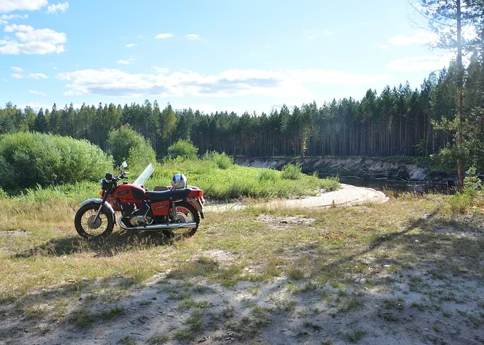 Forest bike