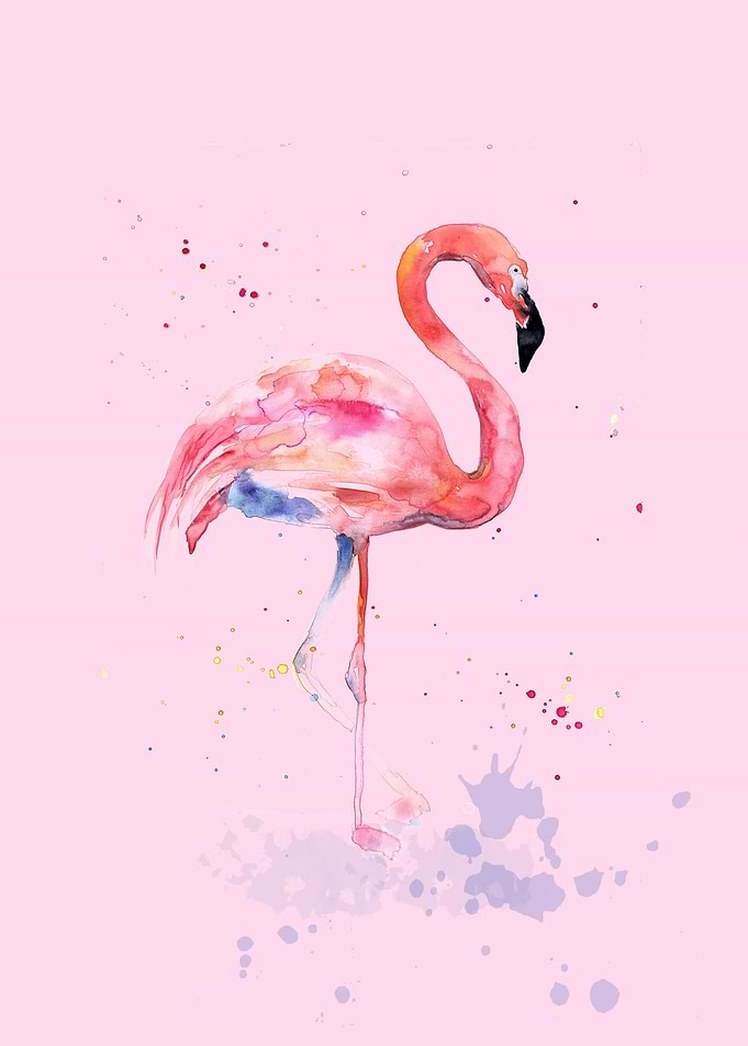 Flamingo Watercolour