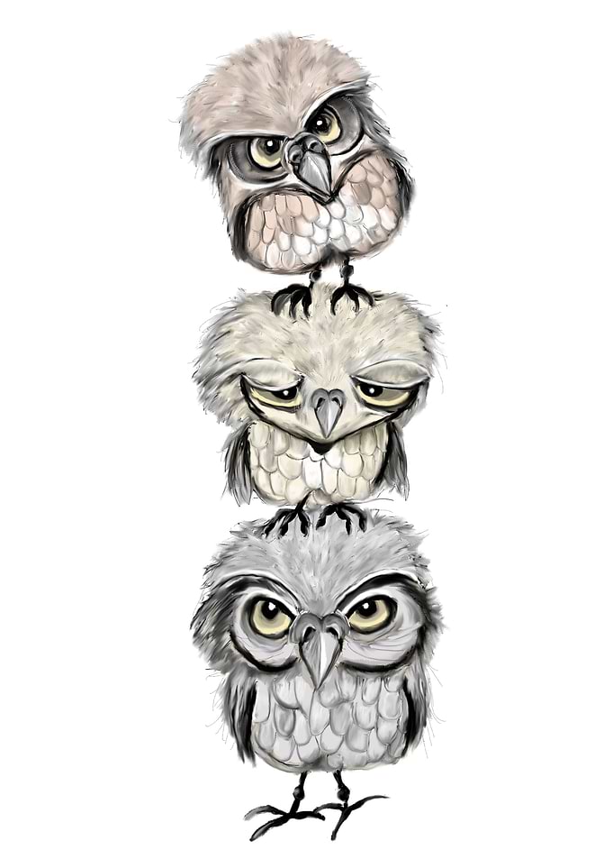 Owl Totem