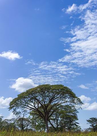 beautiful landscape