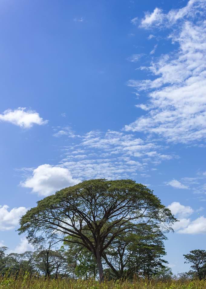 beautiful landscape