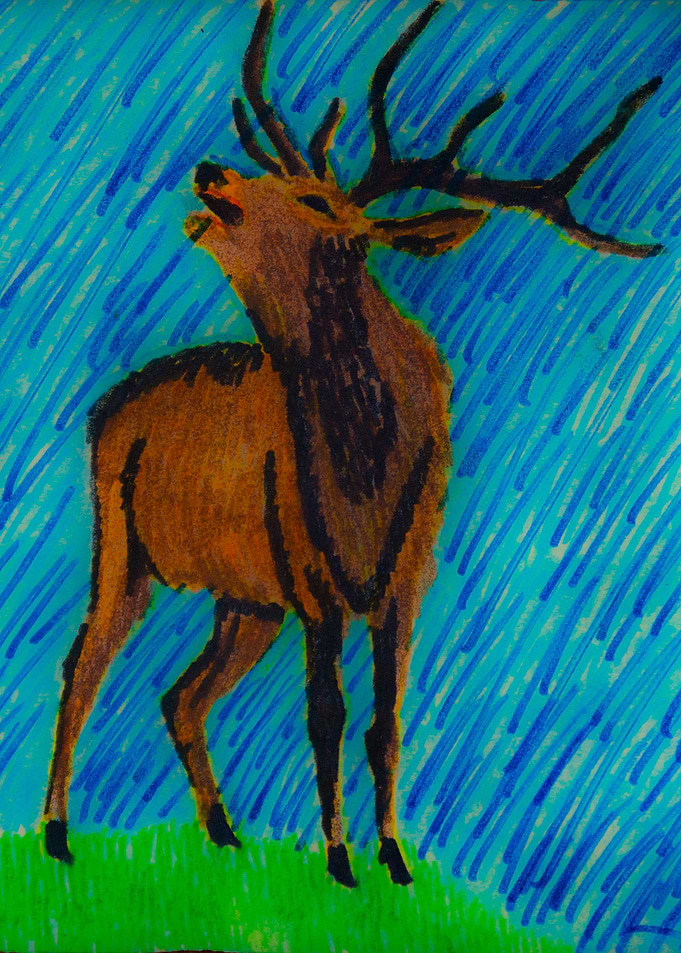 Deer