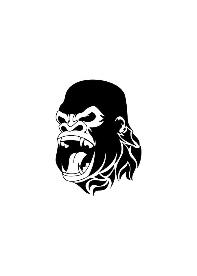 Gorilla
