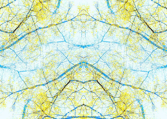 Spring forest 2