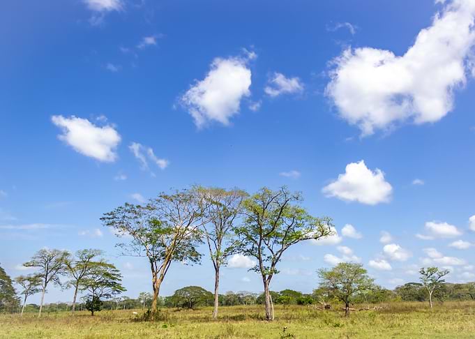 venezuela landscape