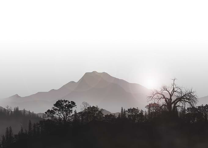 Fresh Landscape