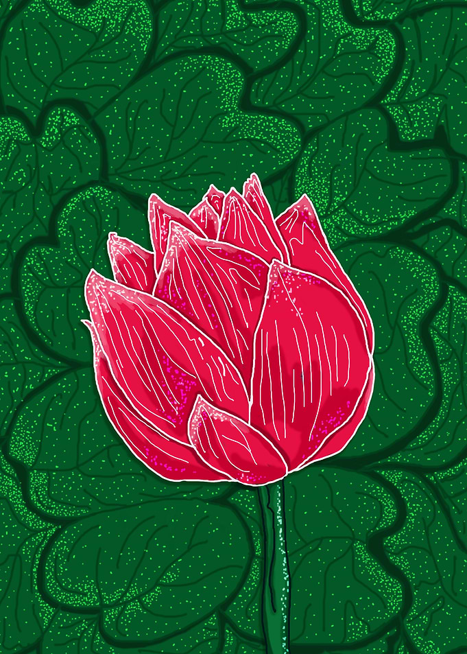 Lotus Child