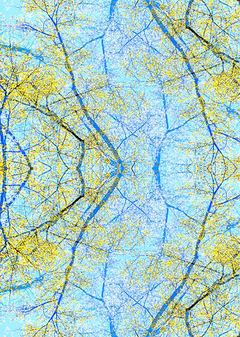 Spring forest 1