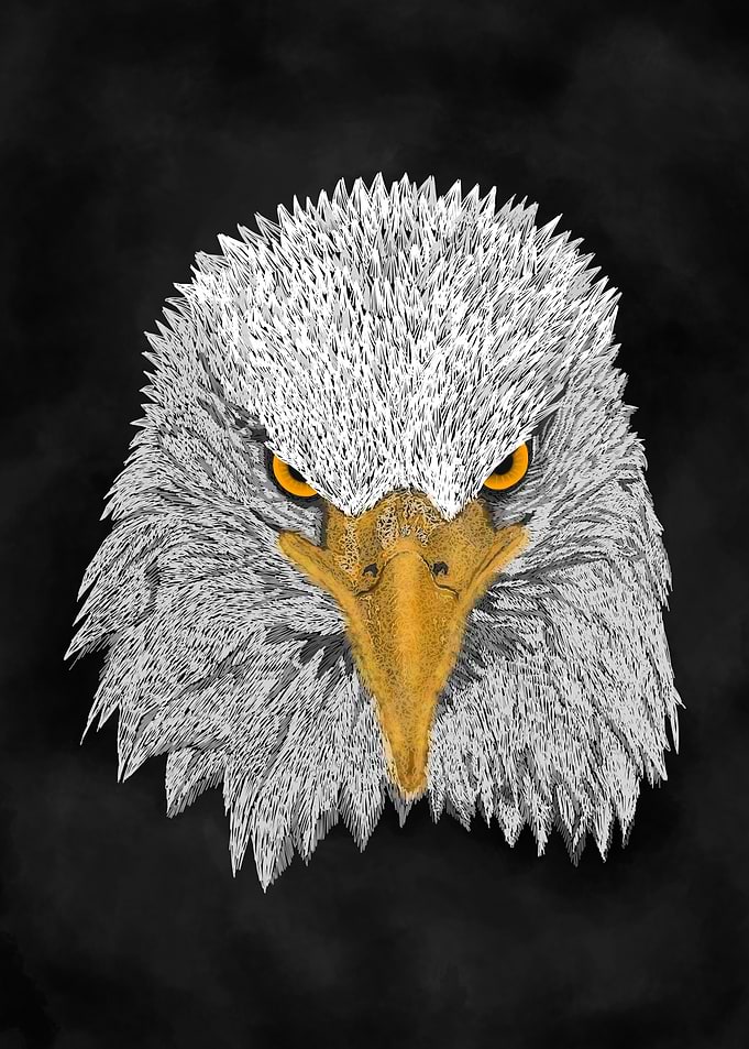 Eagle
