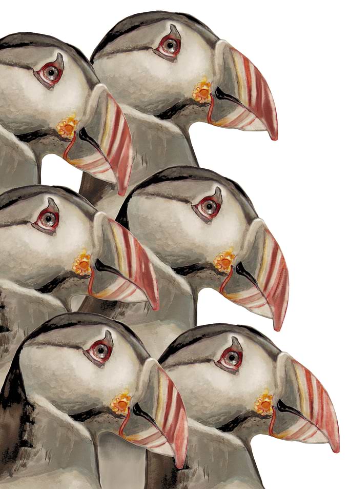 Retro Puffins
