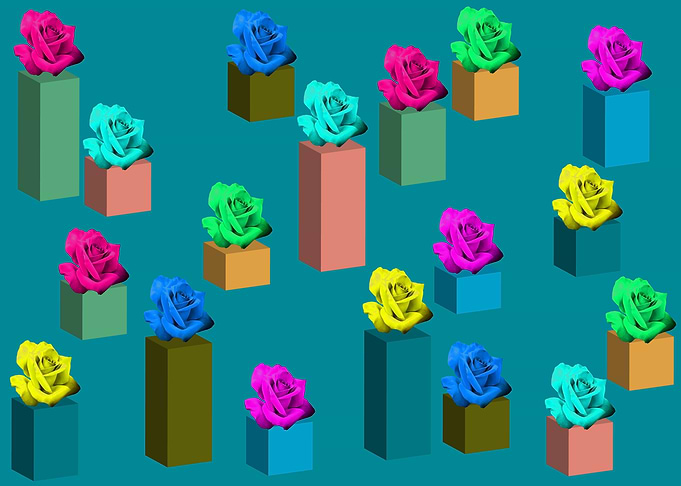 Pots of roses on blue