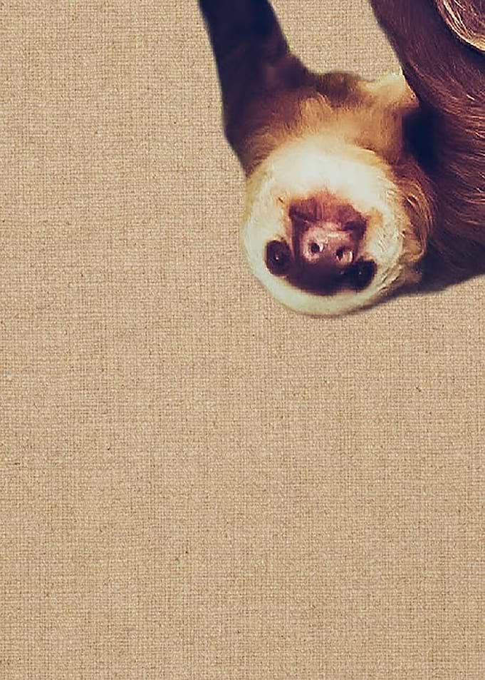 Hey