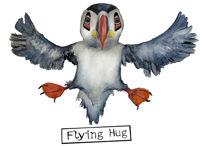Flying Hug