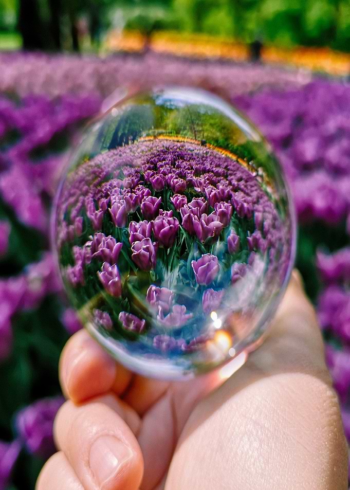 Reflection