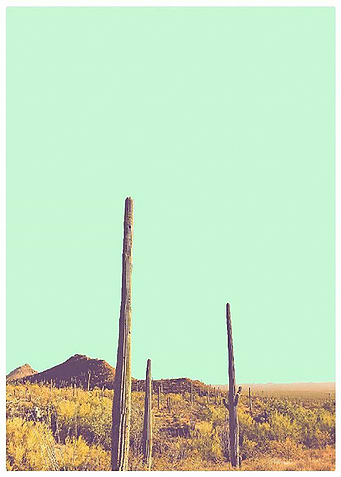 Desert Pop