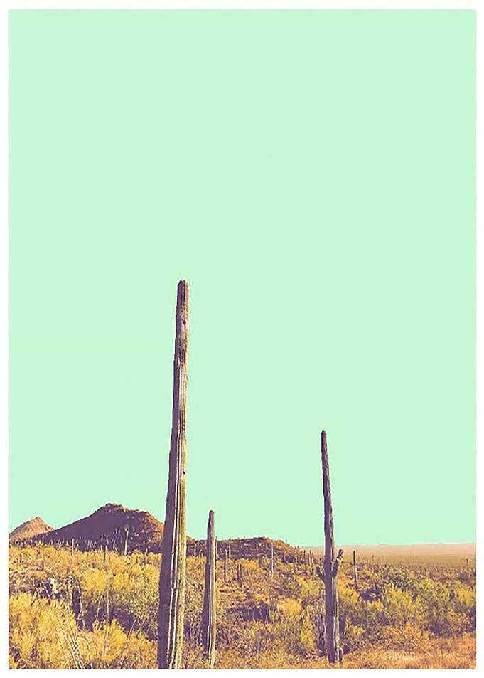 Desert Pop