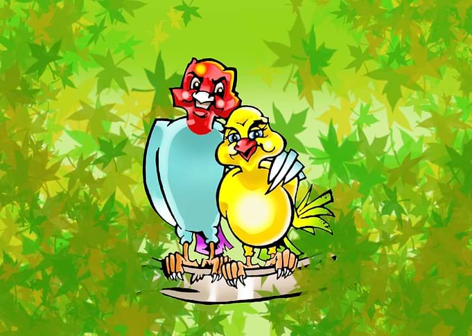 Birdy Companionship