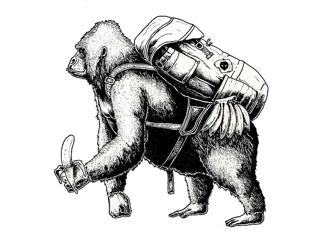 Hiking Gorilla