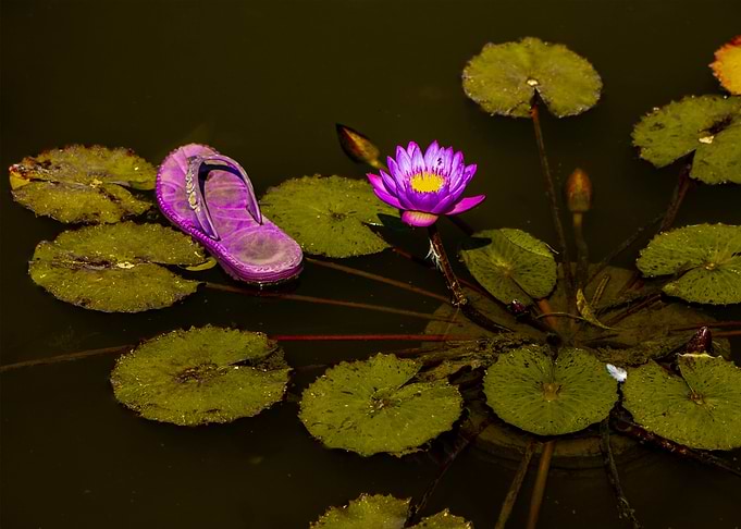 Flower and sleeper