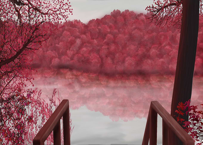 Cherry Blossom Scene