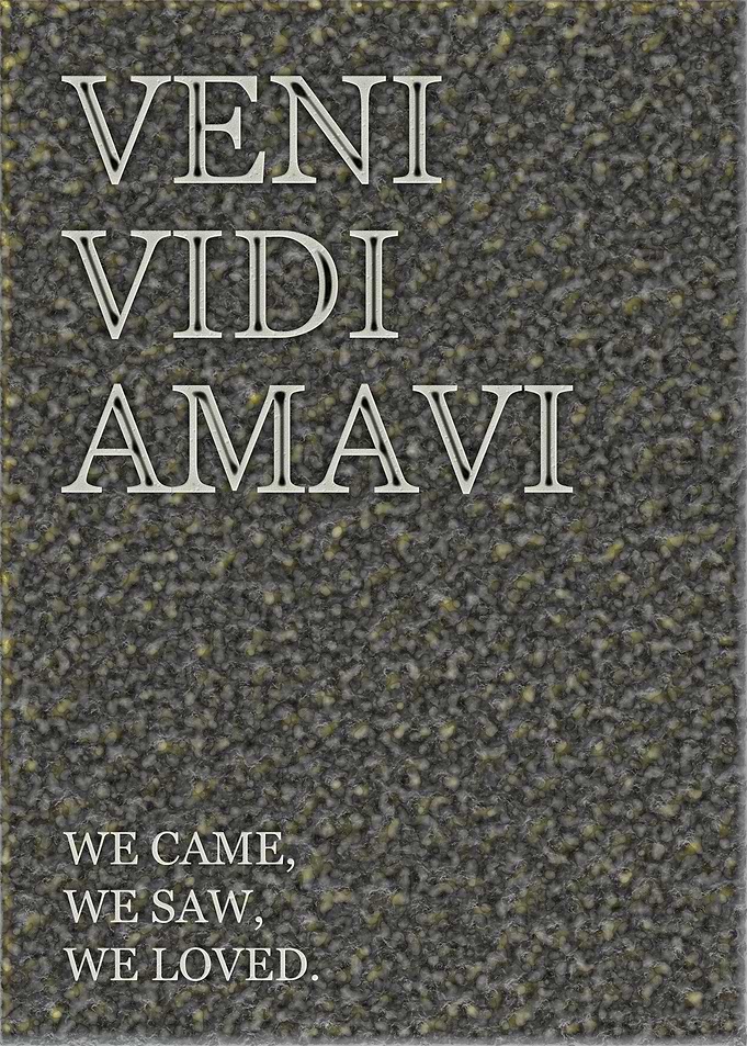 We Came We Saw We Loved