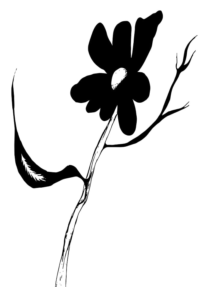 WildFlower No1