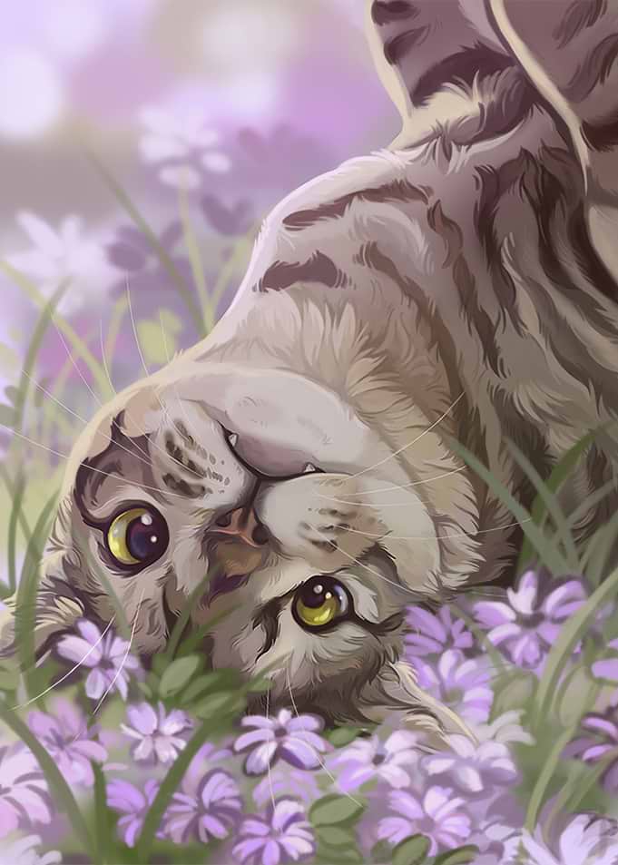 Maya