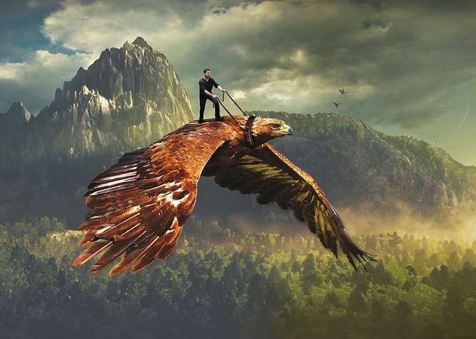 Flight