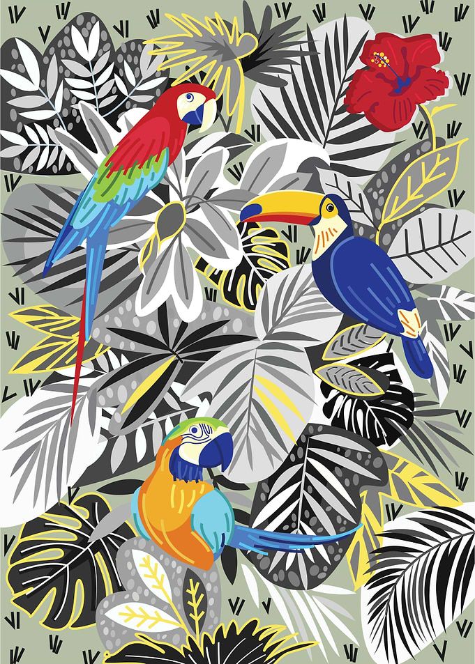 Tropical Birds