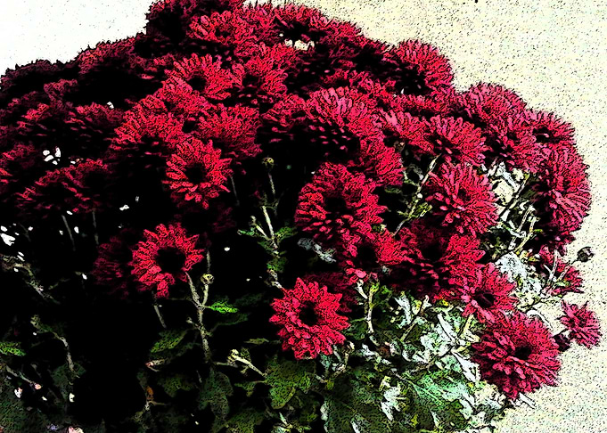 Bouquet