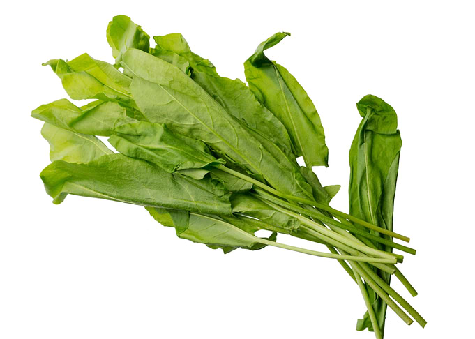 Green sour sorrel