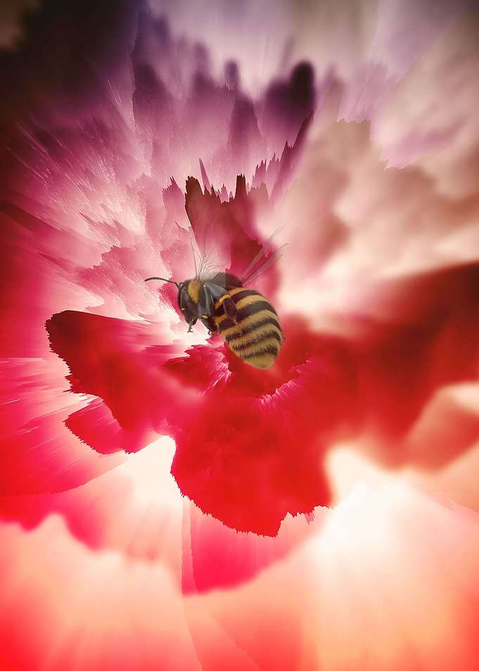 Bee