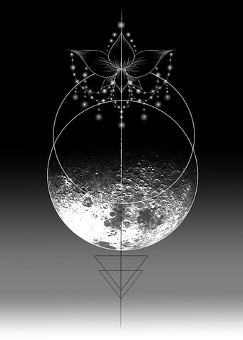 Latest drop