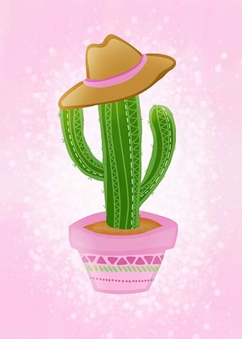 Cactus with sombrero