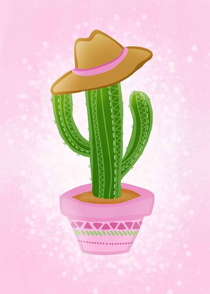 Cactus with sombrero