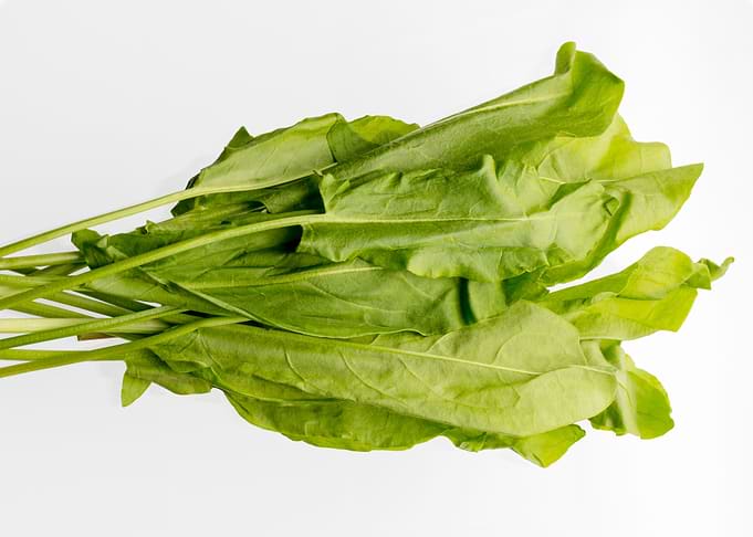 Bunch of green sorrel