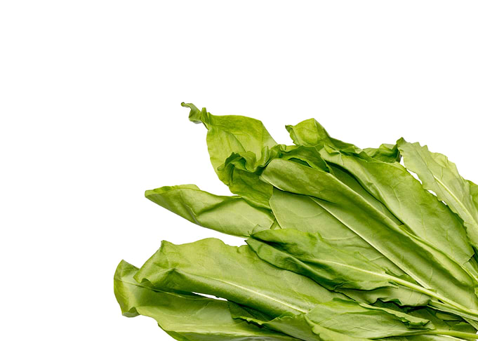 Bunch of green sorrel