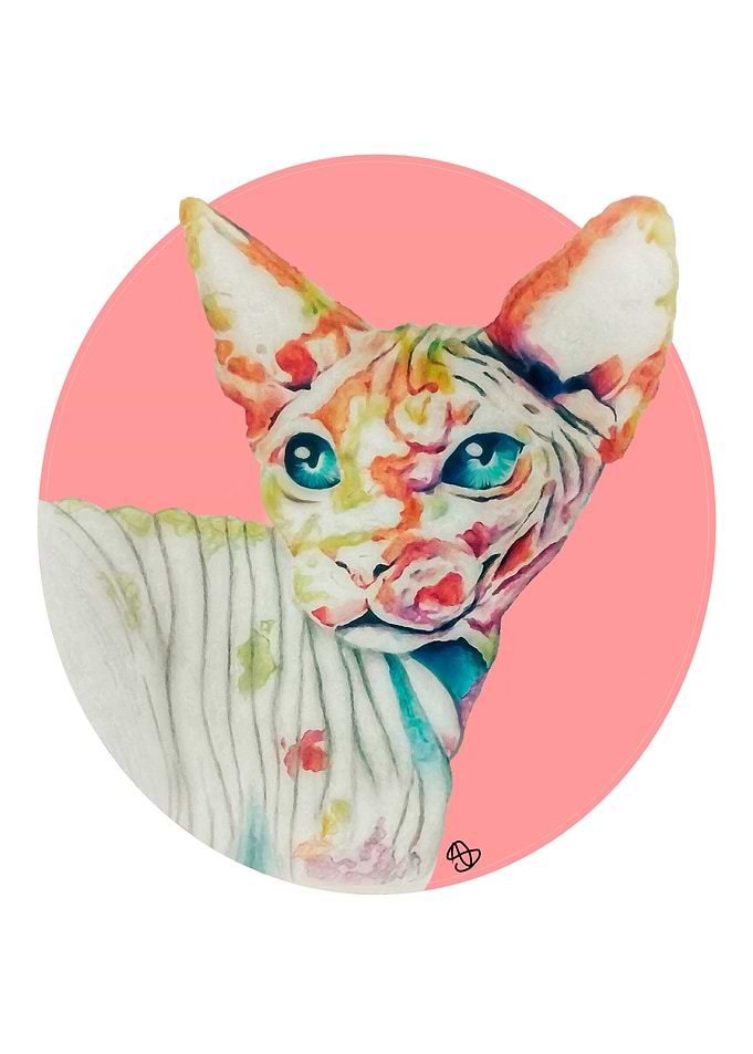 Sphinx ColourCat