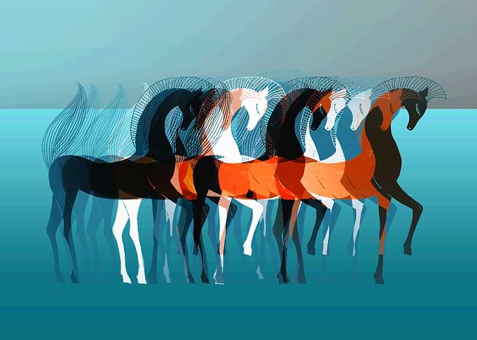 On Parade
