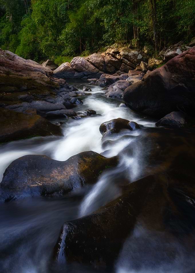 Tranquility of Nature