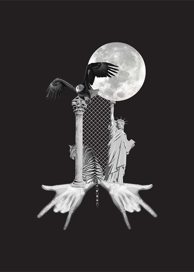 Moonlight Rider