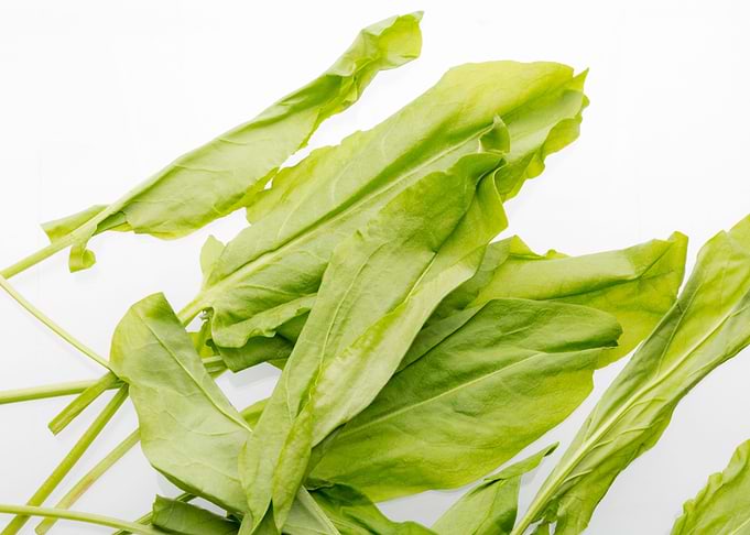 Bunch of green sorrel