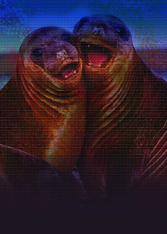 pinnipedia in love