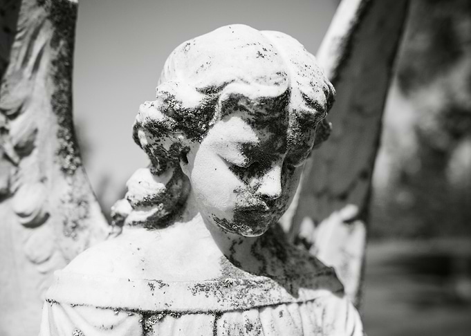 Angel Face