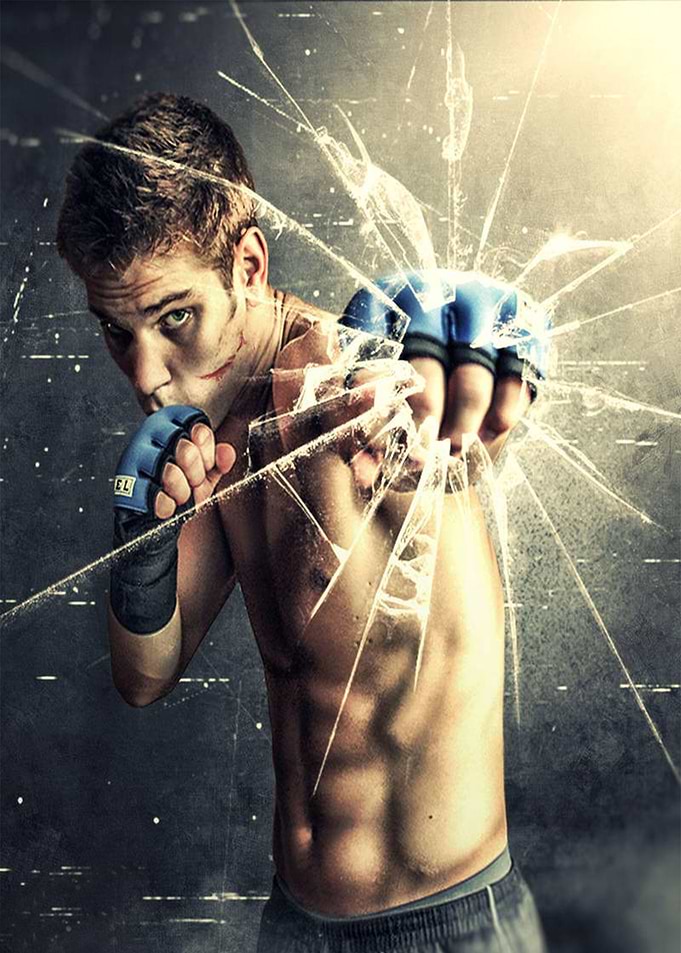 The Fighter