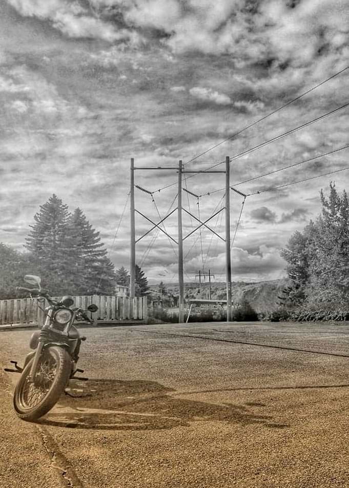 The Wild One