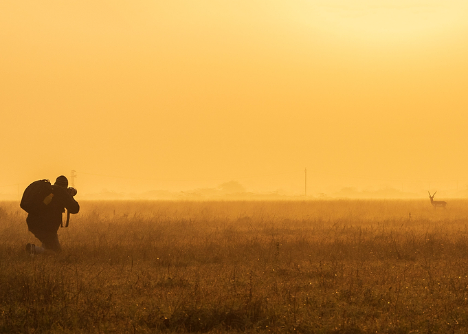 Wildlife Photographer