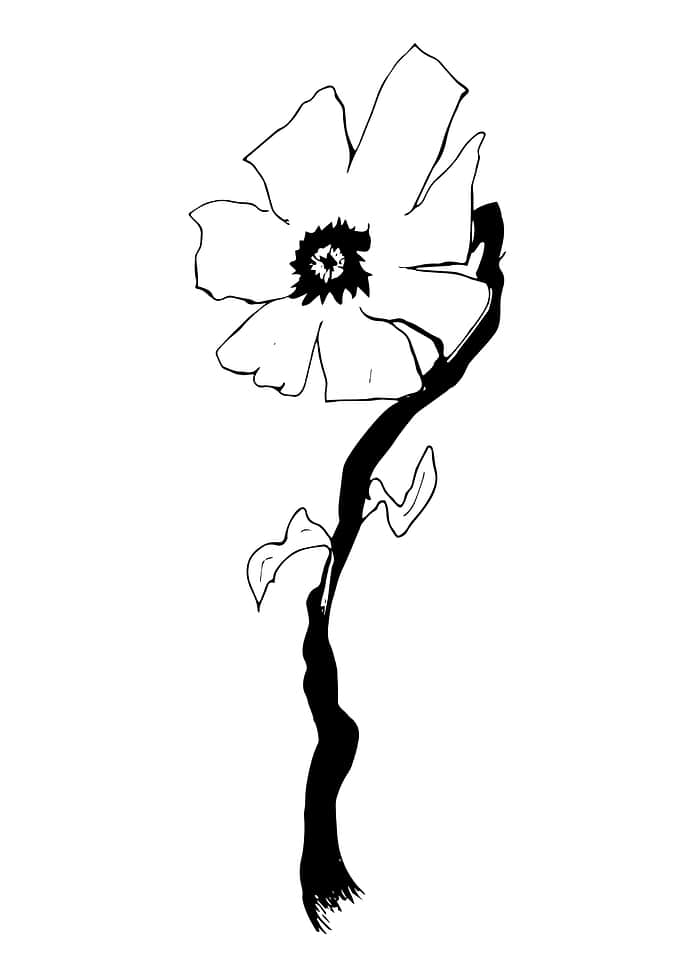 WildFlower No2
