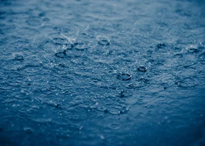Let it Rain Nature Photo