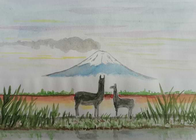 Llamas and volcano